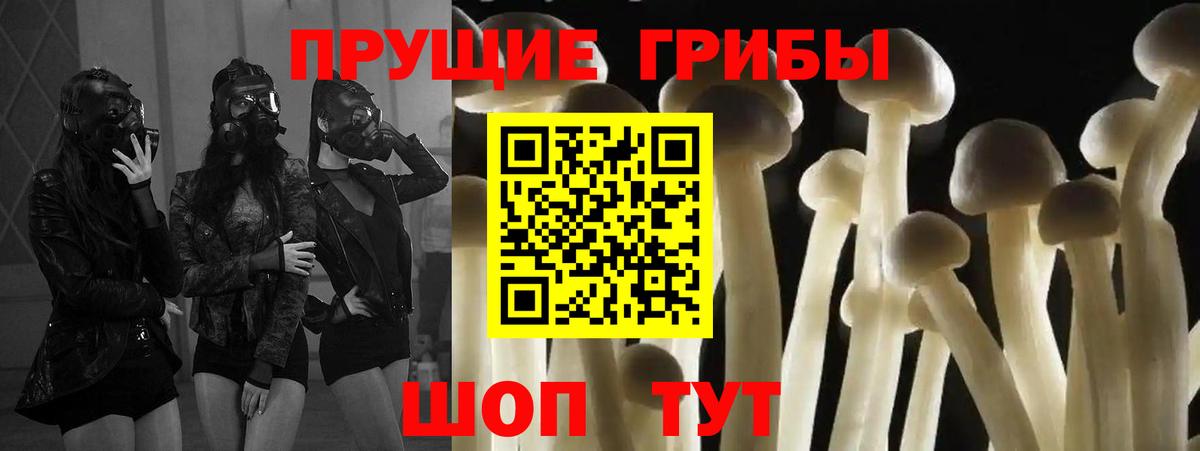 Галлюциногенные грибы мухоморы  Вход с VPN  Кузнецк 